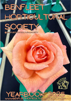 link to 2025 yearbook